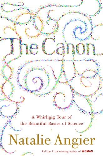 The Canon : A Whirligig Tour of the Beautiful Basics of Science