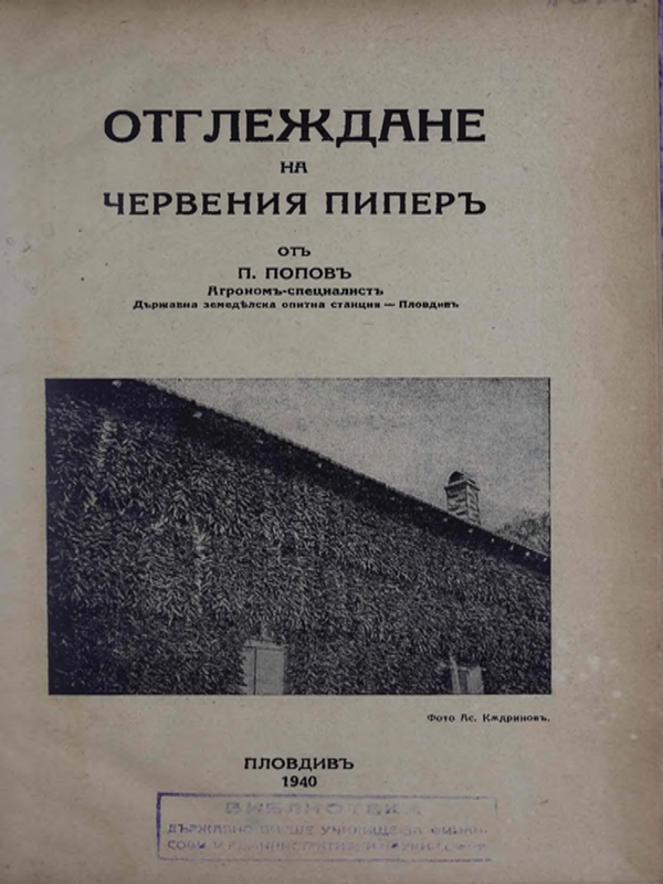 Отглеждане на червения пипер