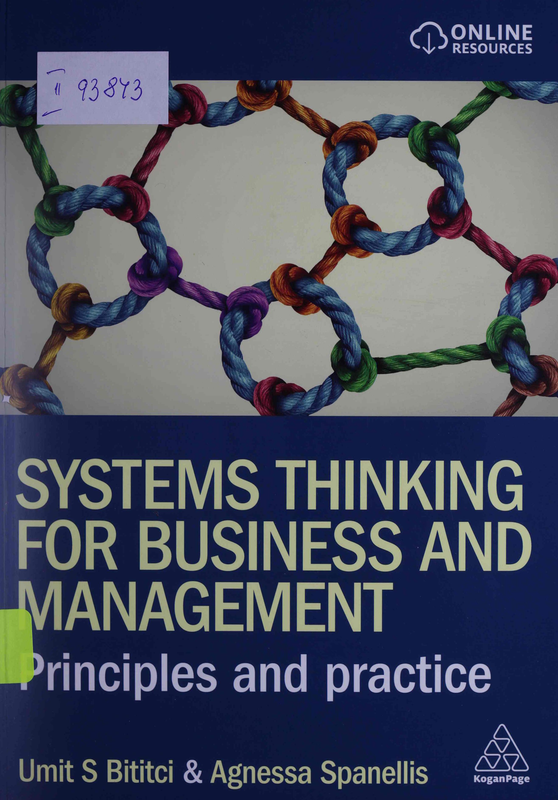 Systems Thinking for Business and Management. Principles and practice